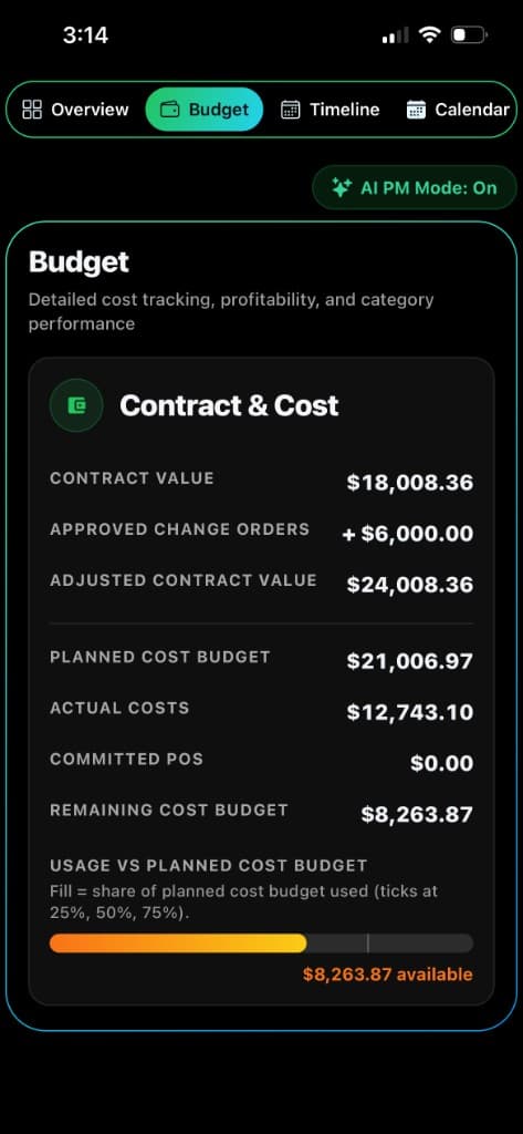 Project Profit Tracking companion screenshot
